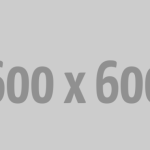 Driving Innovation Forward